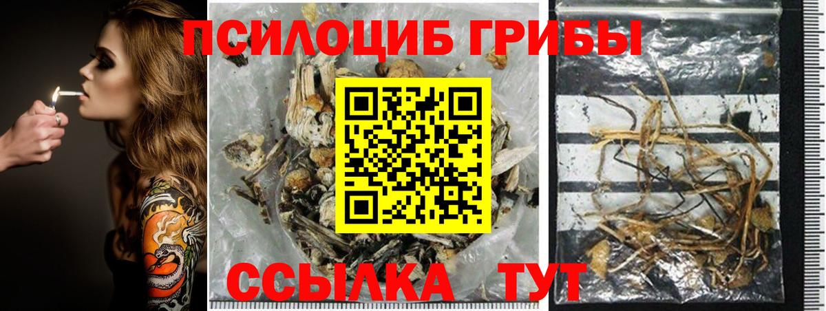 Галлюциногенные грибы мухоморы Тейково