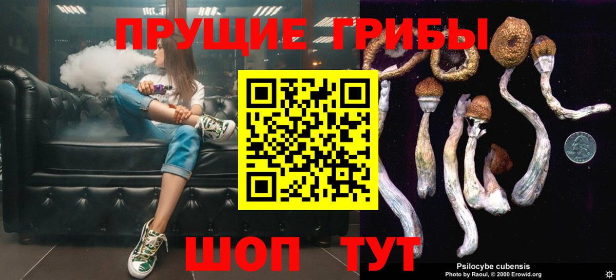 Псилоцибиновые грибы мицелий  Галлюциногенные грибы ЛСД  Вход с VPN  Тейково 